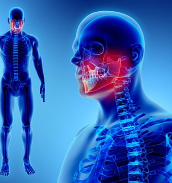 Illustration of human anatomy with jaw highlighted