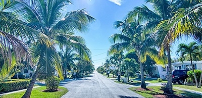 Street with palm trees in Palm Beach Gardens Florida