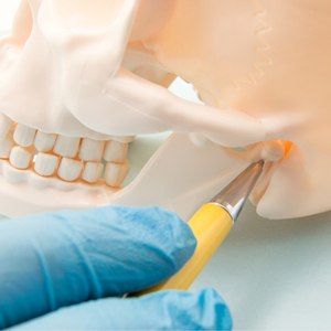 Jaw joint