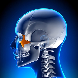 Zygomatic bone